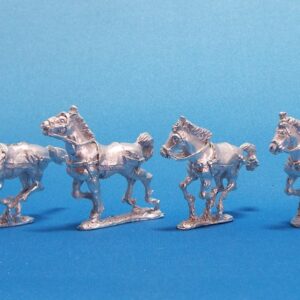 Roman Horses