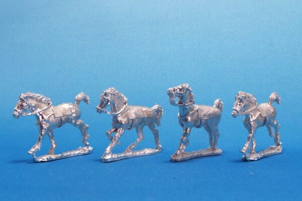 Punic Carthaginian horses.