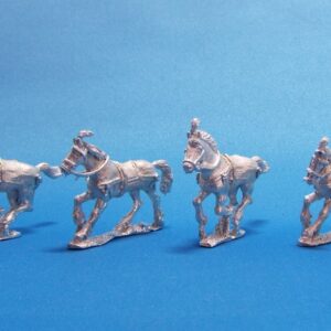 Indian cavalry horses.