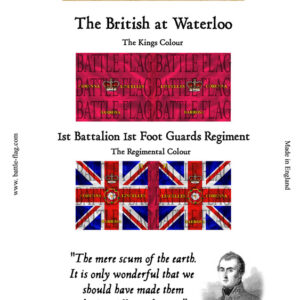 1st Battalion 1st Foot Guards Regiment