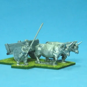 Cape Frontier Wars Oxen Cart