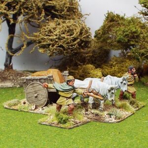 Dark Age Whicker Cart, Covered Load and Solid Wheels