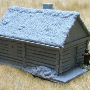 Large cabin with thatch roof