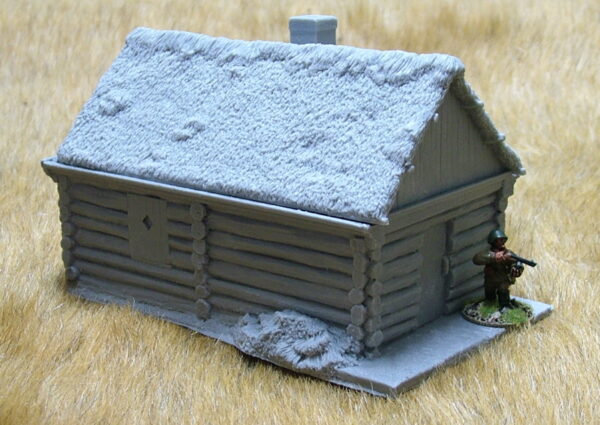 Large cabin with thatch roof