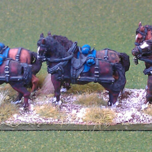 6 Horse Team.