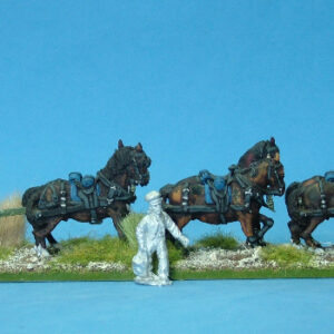 US limber and horse team at ease.