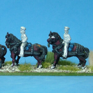 US limber and horse team(b) mounted .