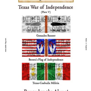 Texas War of independence