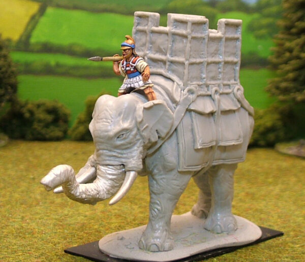 Indian Elephant with tower right leg raised