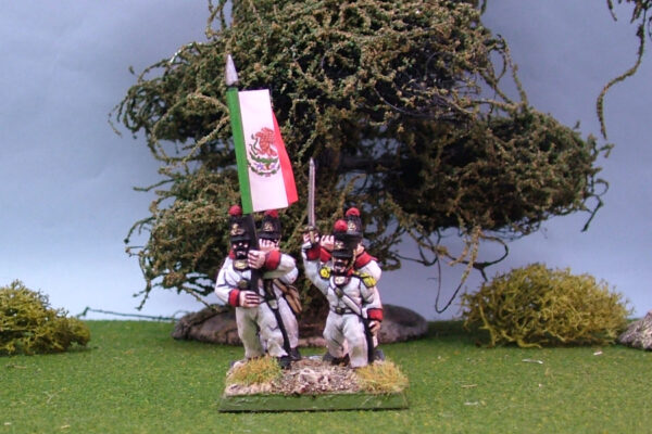 Mexican Militia infantry Command